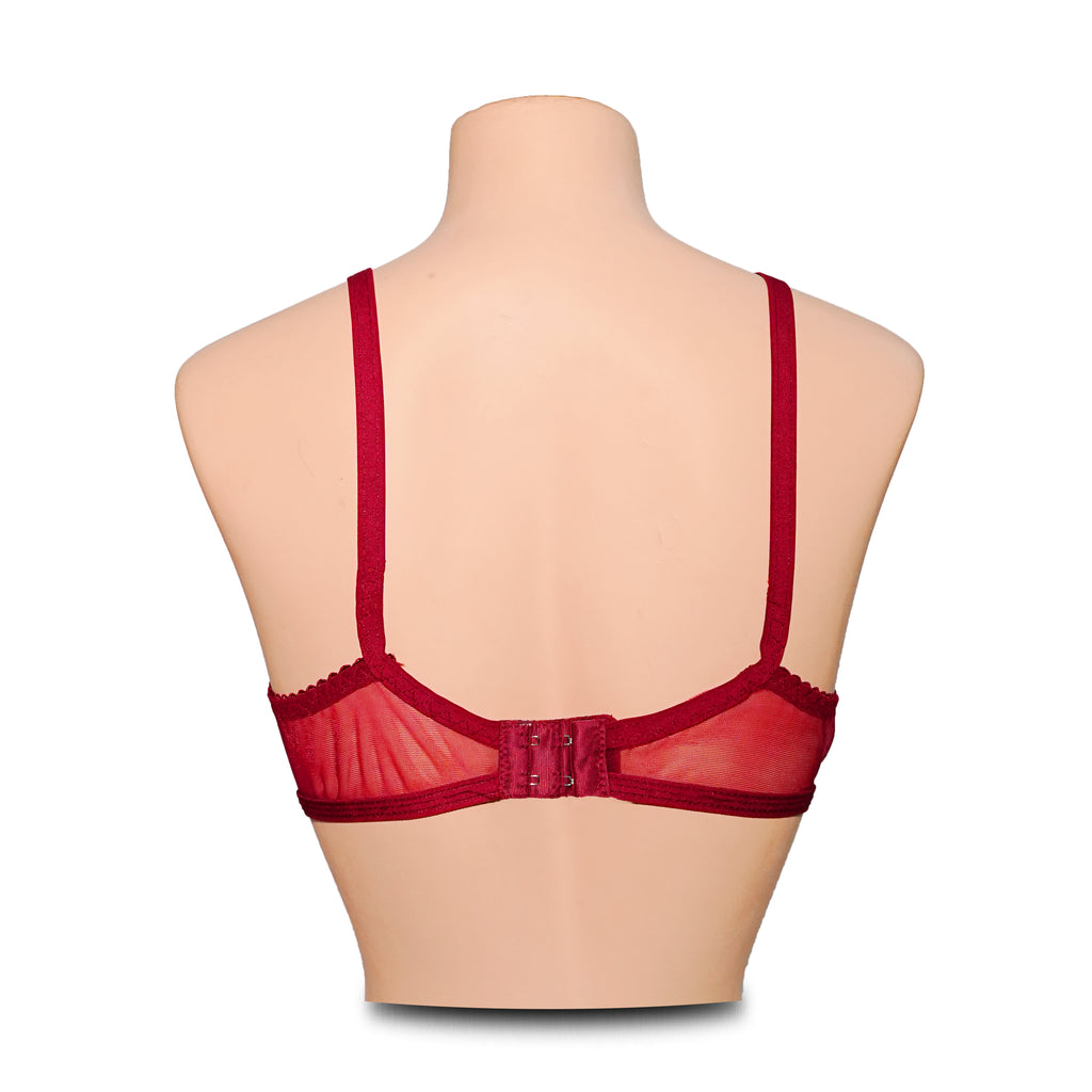 Pack of 4 Non-Padded & Non-Wired Full Net Transparent  Bras - 4 Colors